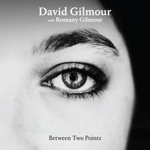 Load image into Gallery viewer, David Gilmour - Between Two Points Remixes
