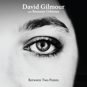 David Gilmour - Between Two Points Remixes