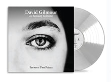 Load image into Gallery viewer, David Gilmour - Between Two Points Remixes
